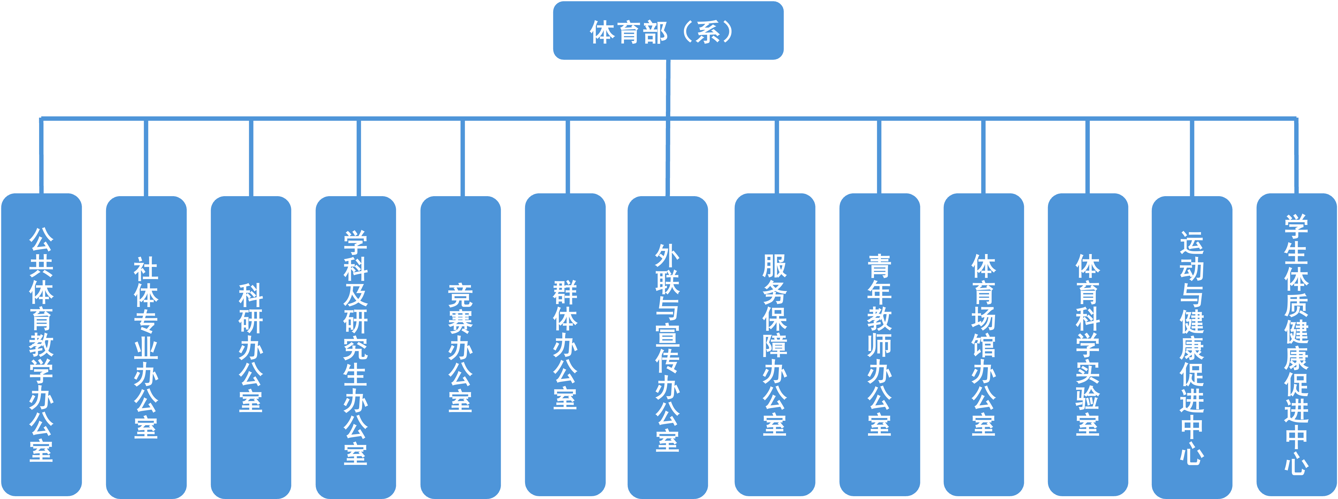 风速体育指定通道