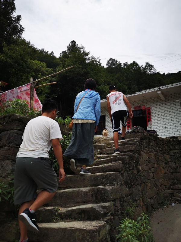 风速体育平台