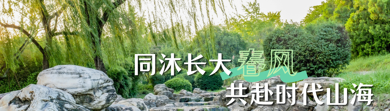 风速体育平台