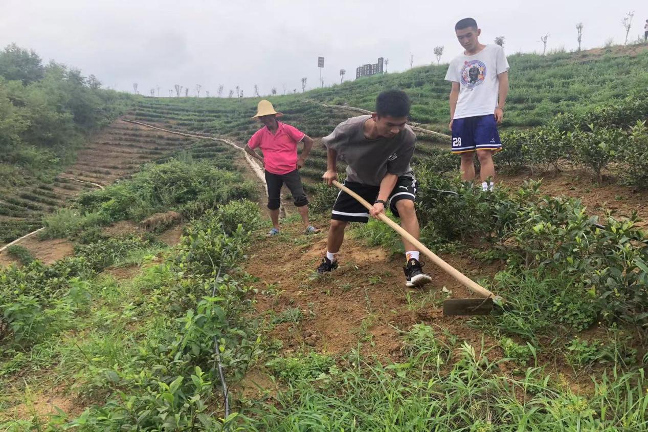 风速体育稳定线路