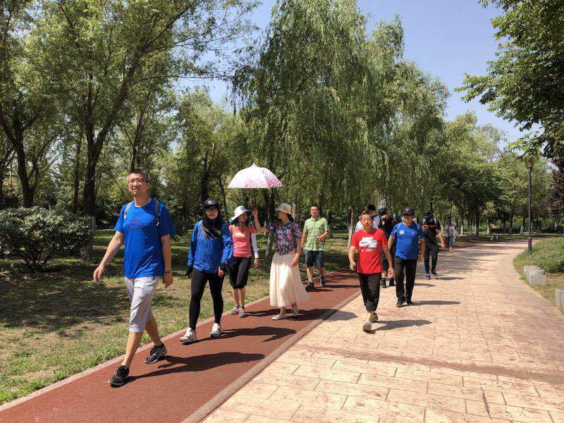 风速体育直播