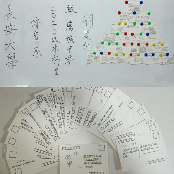 风速体育客户端